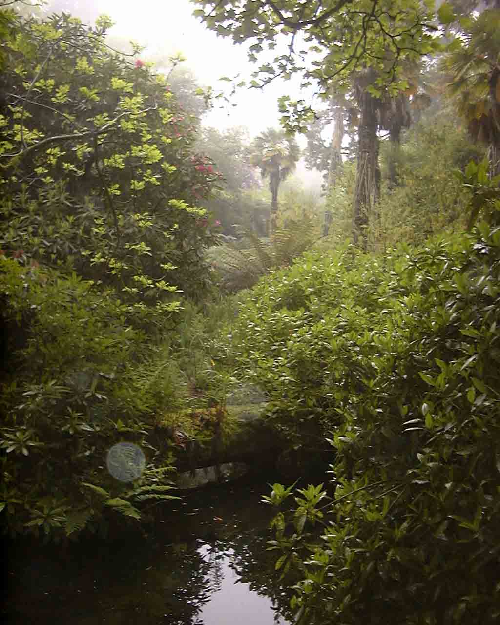 F10a.jpg (78353 bytes)