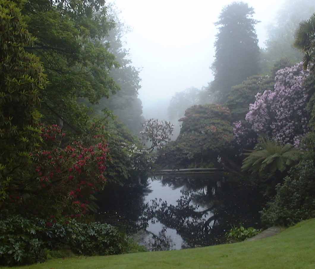 F11a.jpg (54254 bytes)