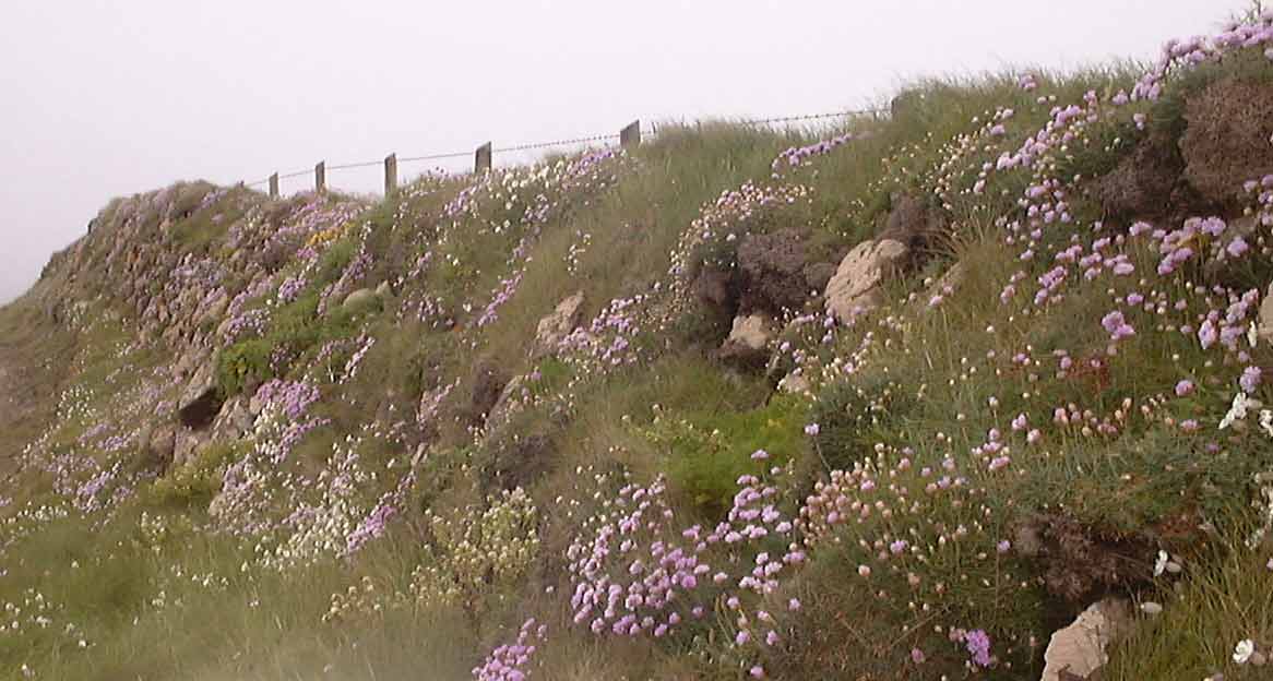 F14a.jpg (66892 bytes)