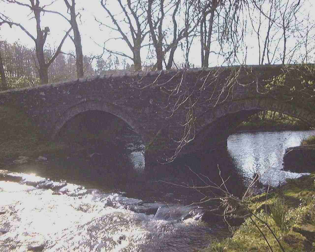 Bridge1b.jpg (102417 bytes)