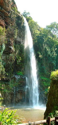 lone_creek_falls.jpg
