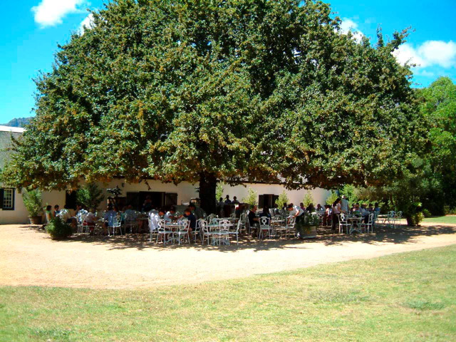 wine_tasting_at_boschendal.jpg